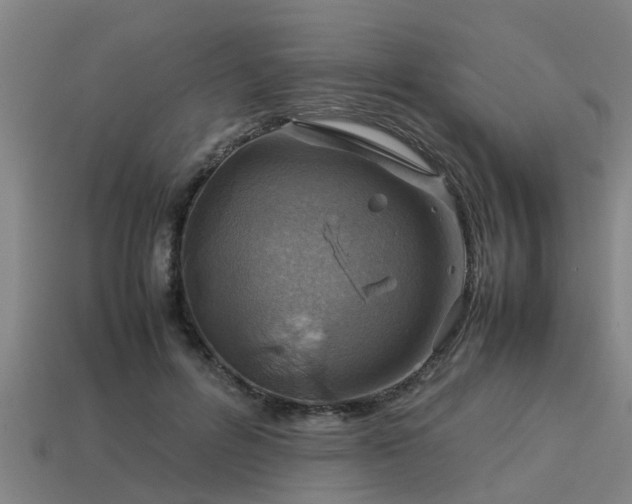 X0000113590600200909251137