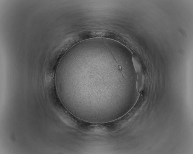 X0000113590601200909251137