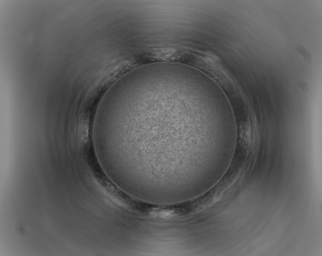 X0000113590602200909251137