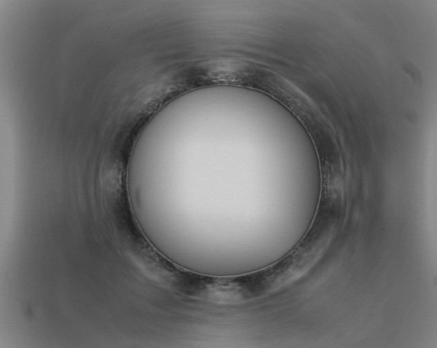 X0000113590603200909251137