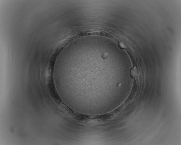 X0000113590608200909251137