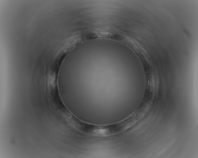 X0000113590610200909251137