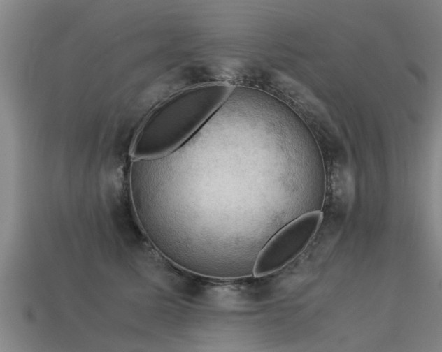 X0000113590611200909251137