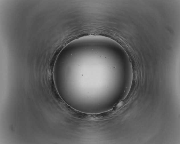 X0000113590613200909251137