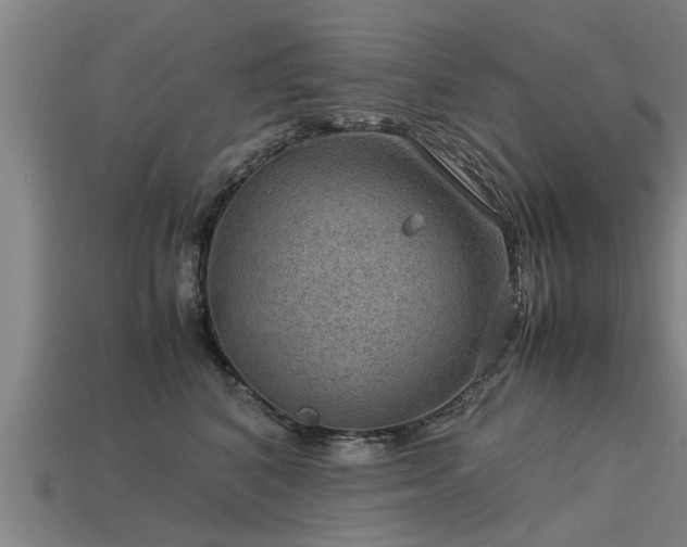 X0000113590616200909251137