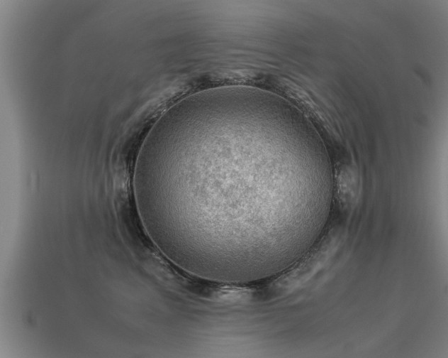 X0000113590617200909251137