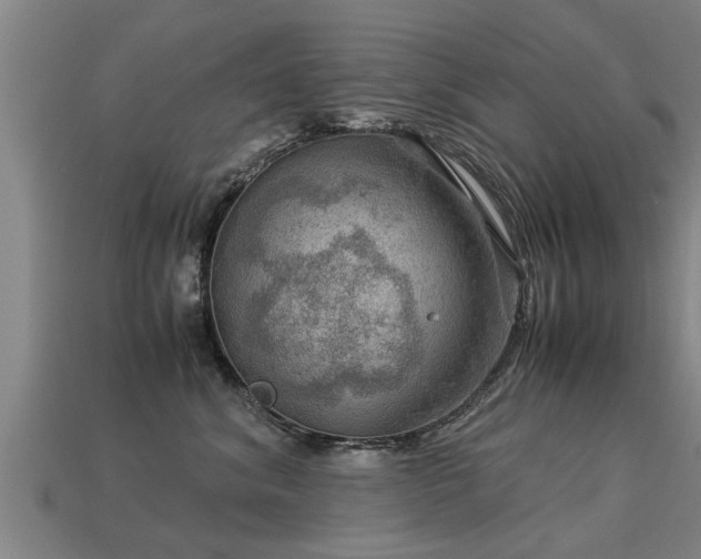 X0000113590620200909251137