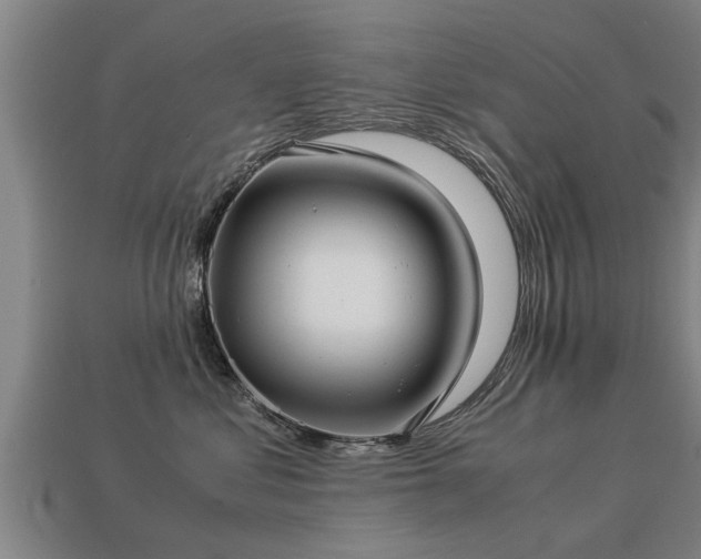 X0000113590621200909251137