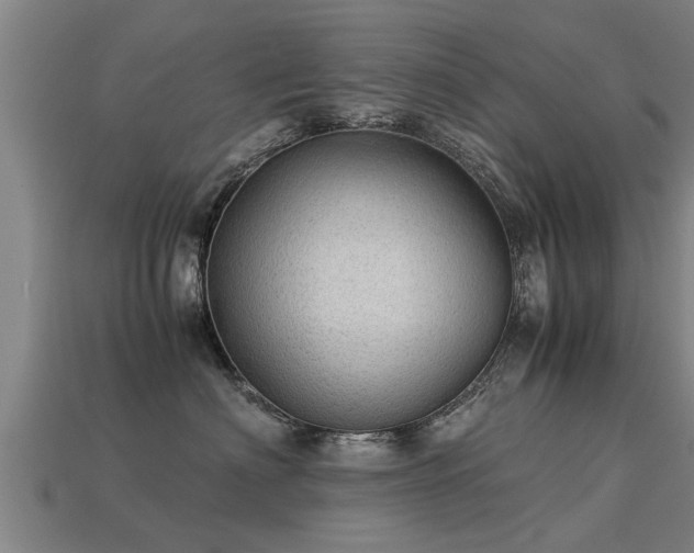 X0000113590622200909251137