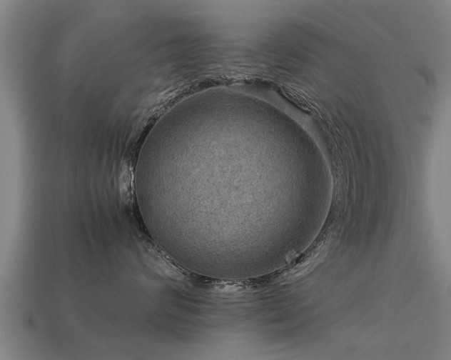 X0000113590624200909251137