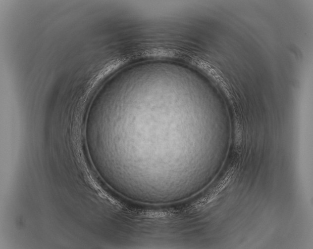 X0000113590625200909251136