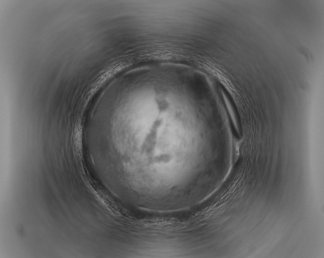 X0000113590626200909251136