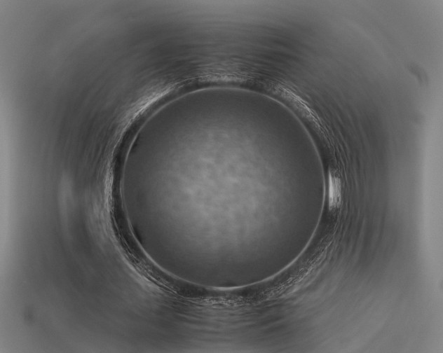 X0000113590627200909251136