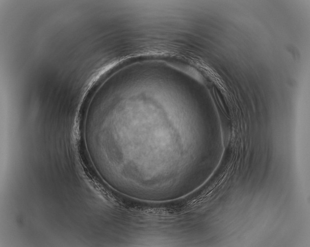 X0000113590628200909251136