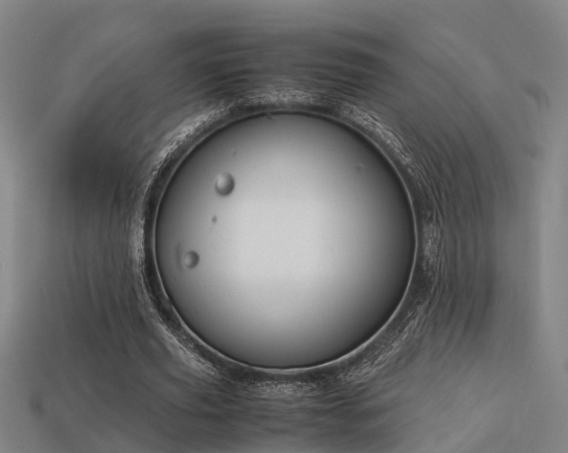 X0000113590629200909251136