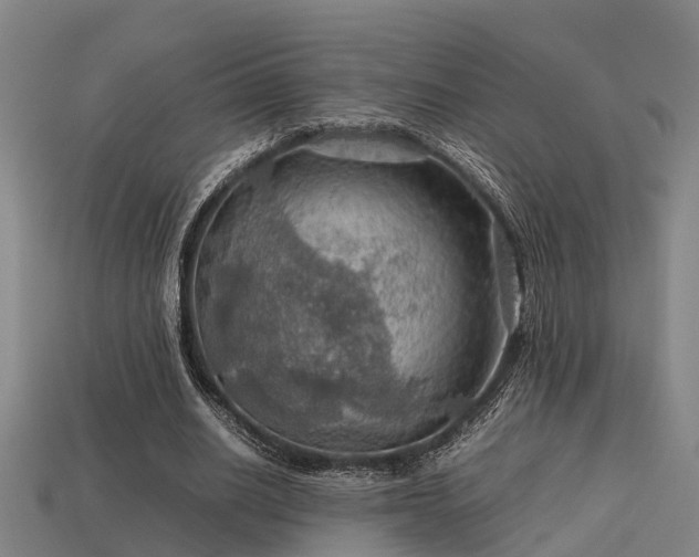 X0000113590630200909251136