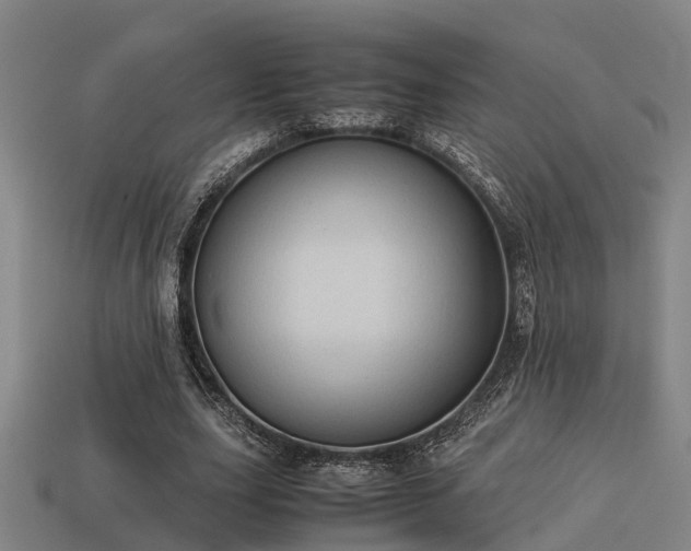 X0000113590631200909251136