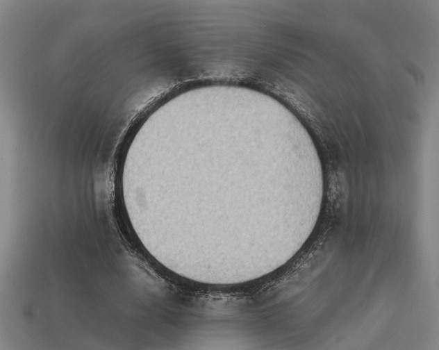 X0000113590632200909251136