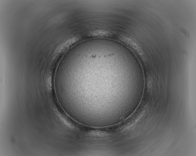 X0000113590633200909251136