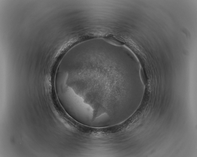 X0000113590634200909251137