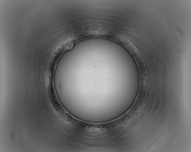 X0000113590635200909251137