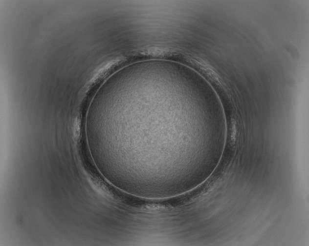 X0000113590636200909251137