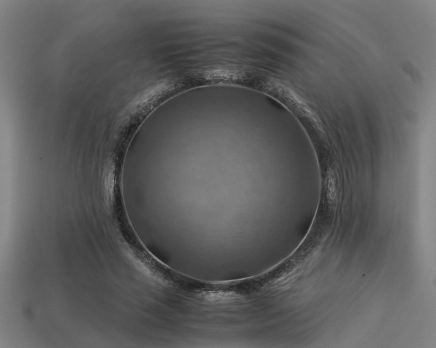 X0000113590637200909251137