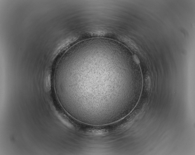 X0000113590638200909251137