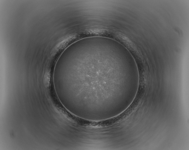 X0000113590640200909251137