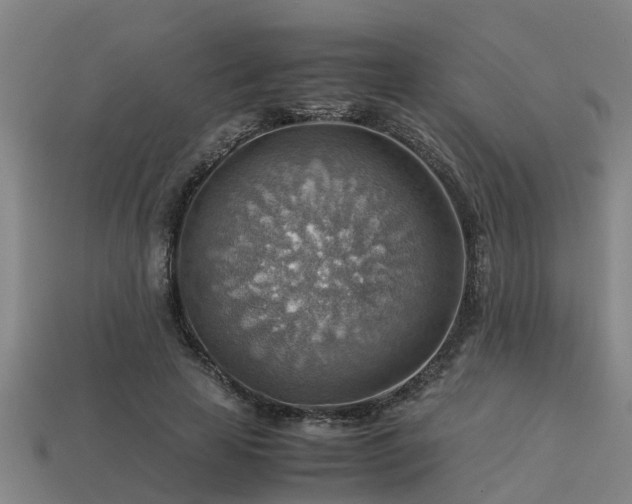 X0000113590641200909251137