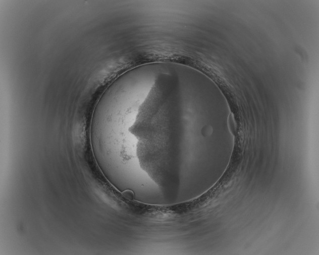 X0000113590642200909251137