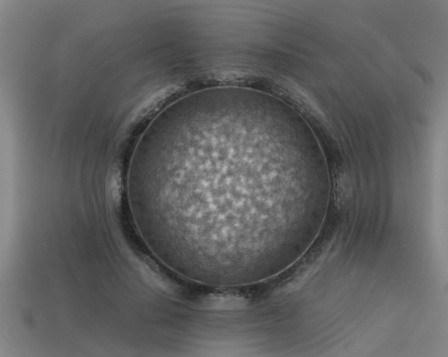 X0000113590644200909251137