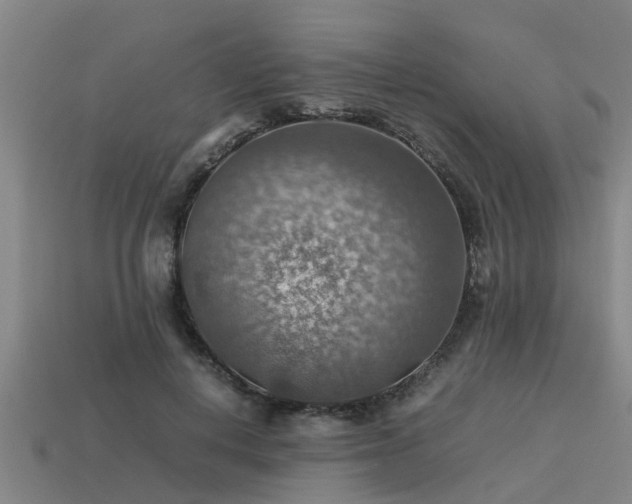 X0000113590648200909251137