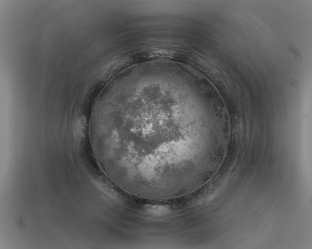 X0000113590649200909251137