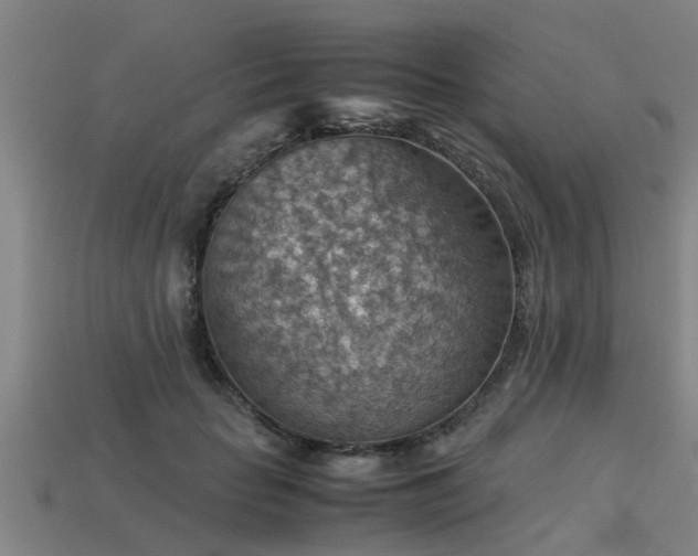 X0000113590653200909251137