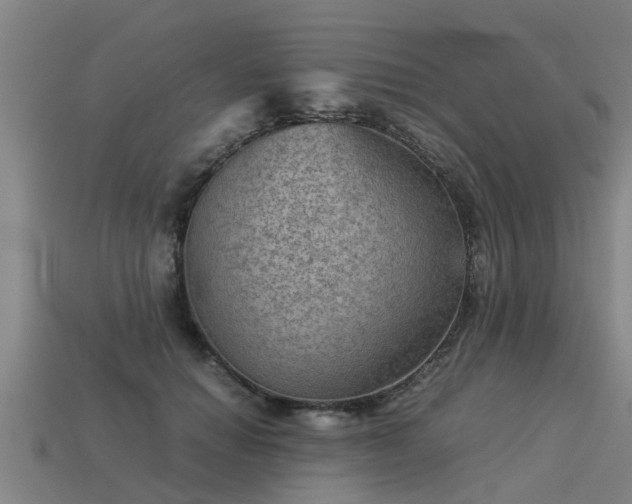 X0000113590654200909251137