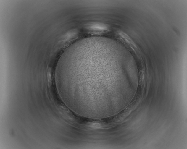 X0000113590655200909251137