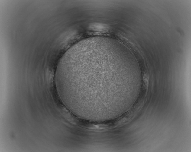 X0000113590657200909251137