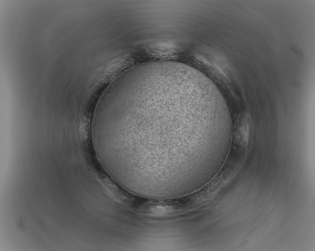 X0000113590658200909251137