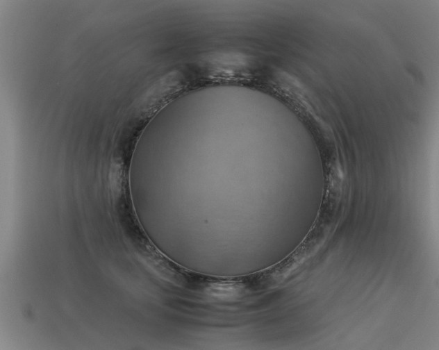 X0000113590659200909251137