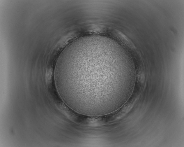 X0000113590660200909251137