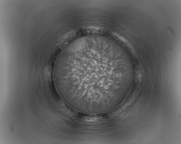 X0000113590661200909251137