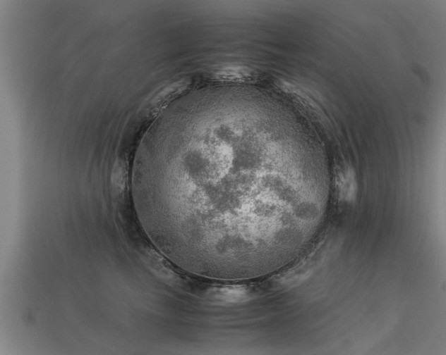 X0000113590665200909251137