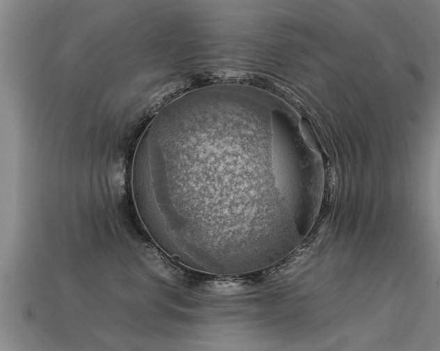 X0000113590668200909251137