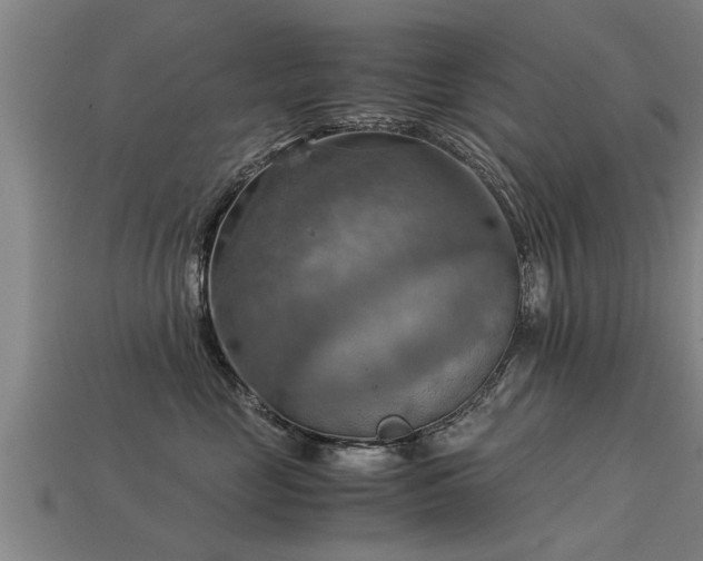 X0000113590669200909251137