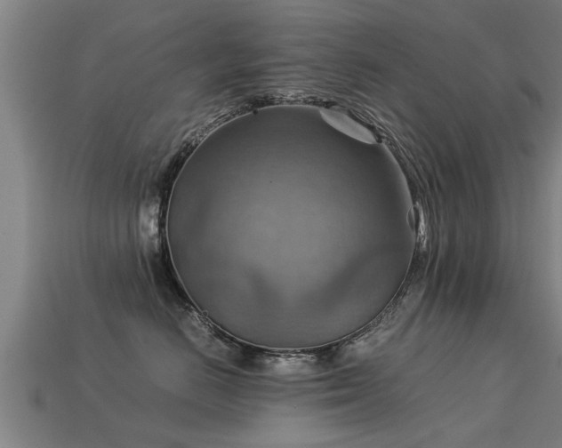 X0000113590670200909251137