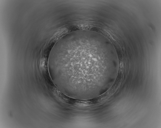 X0000113590671200909251137