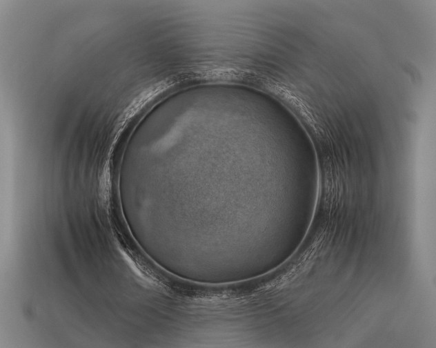 X0000113590674200909251136