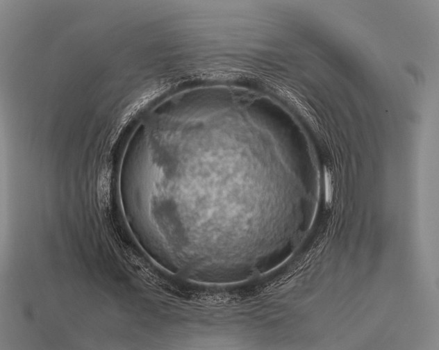 X0000113590675200909251136