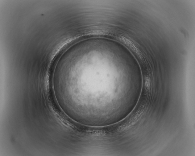 X0000113590676200909251136